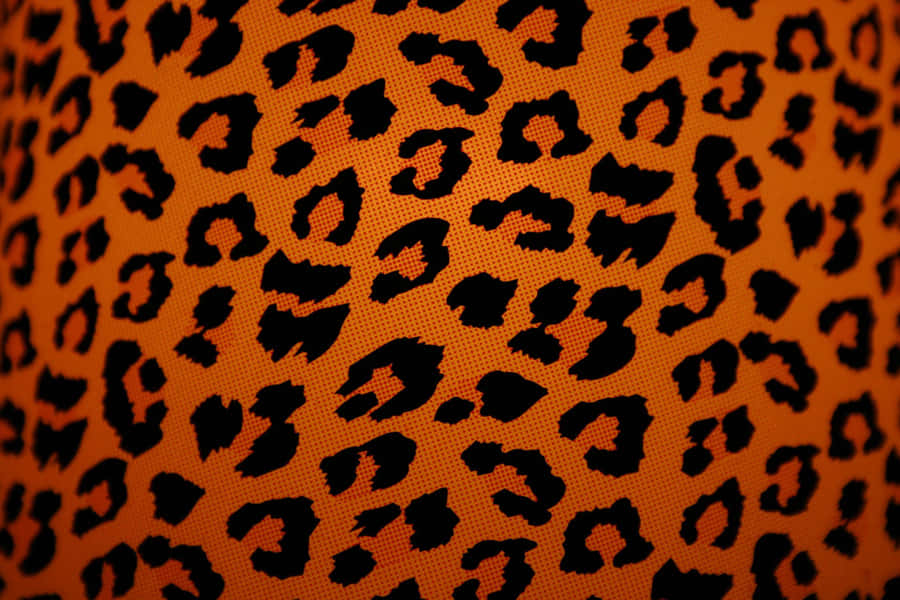 Show Your Wild Side With Animal Print Wallpaper