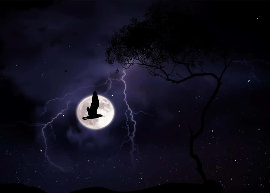 Silhouetted Bird Lightning Moon Wallpaper