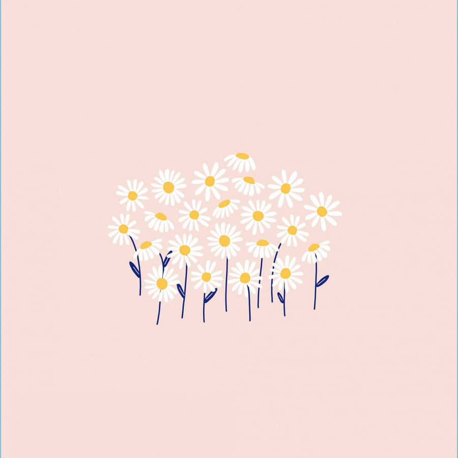 Simple Pink Daisy Aesthetic Computer Wallpaper