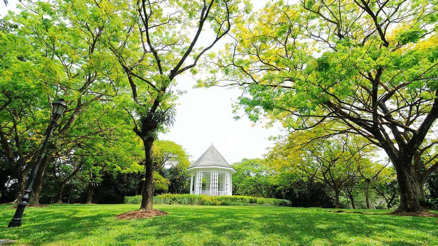 Singapore Botanic Gardens Bandstand Pavilion Wallpaper