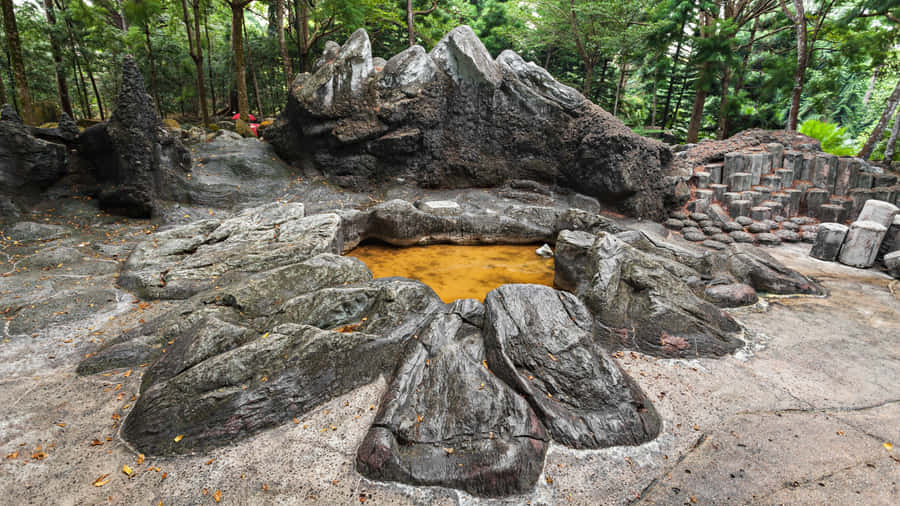 Singapore Botanic Gardens Rock Formation Wallpaper