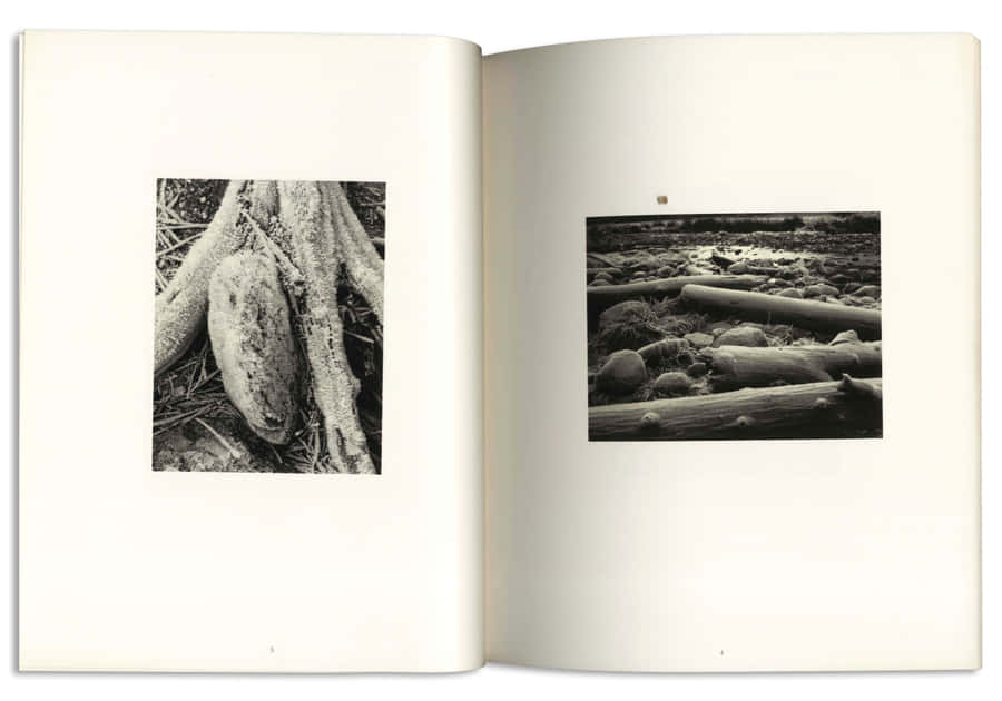 Singular Book With Photos [wallpaper] Wallpaper