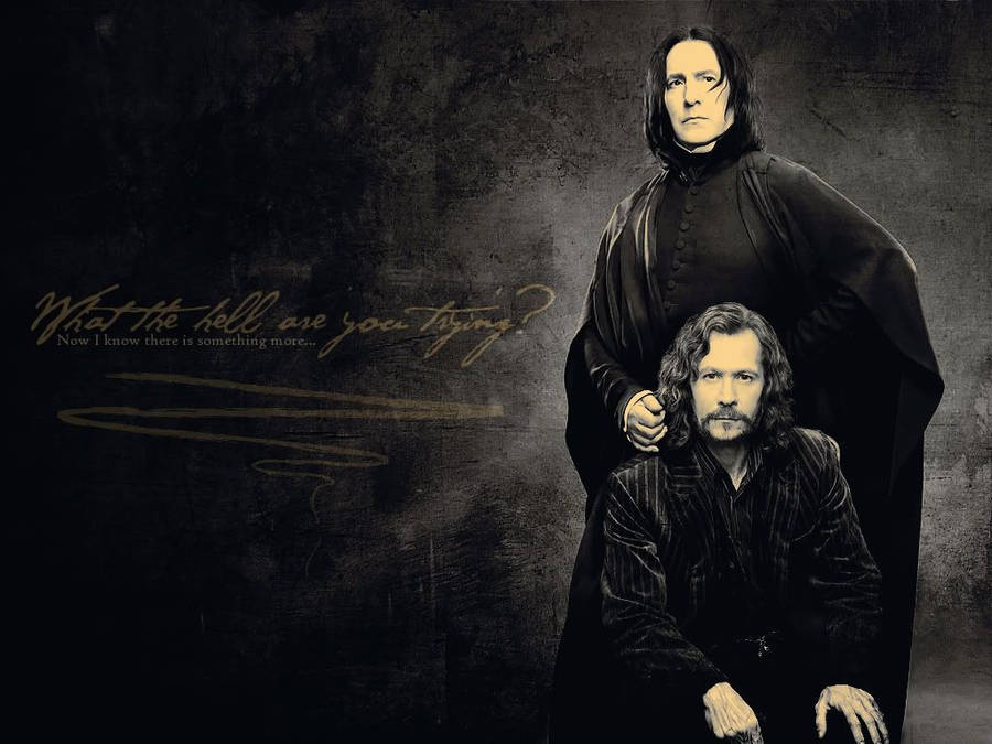 Sirius Black Snape Wallpaper