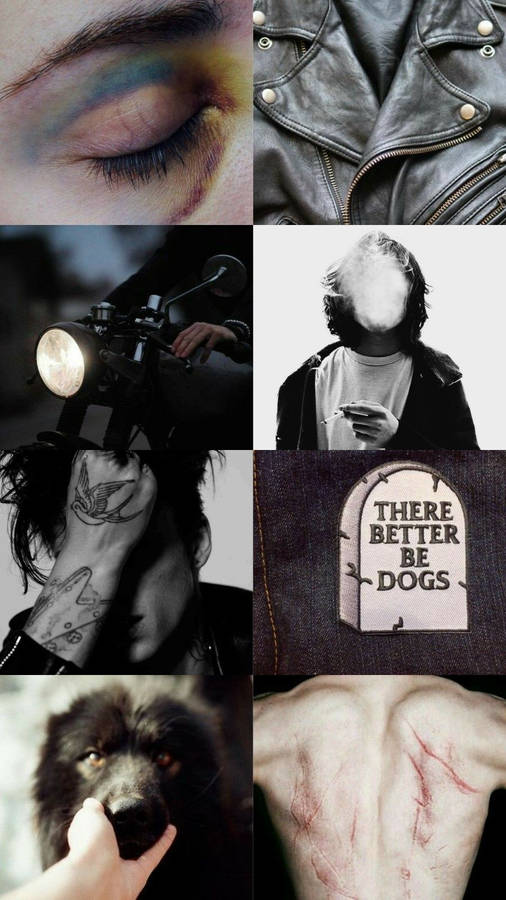 Sirius Black - The Enigmatic Animagus Wallpaper