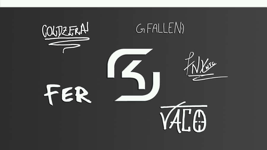 Sk Gaming In Action Wallpaper