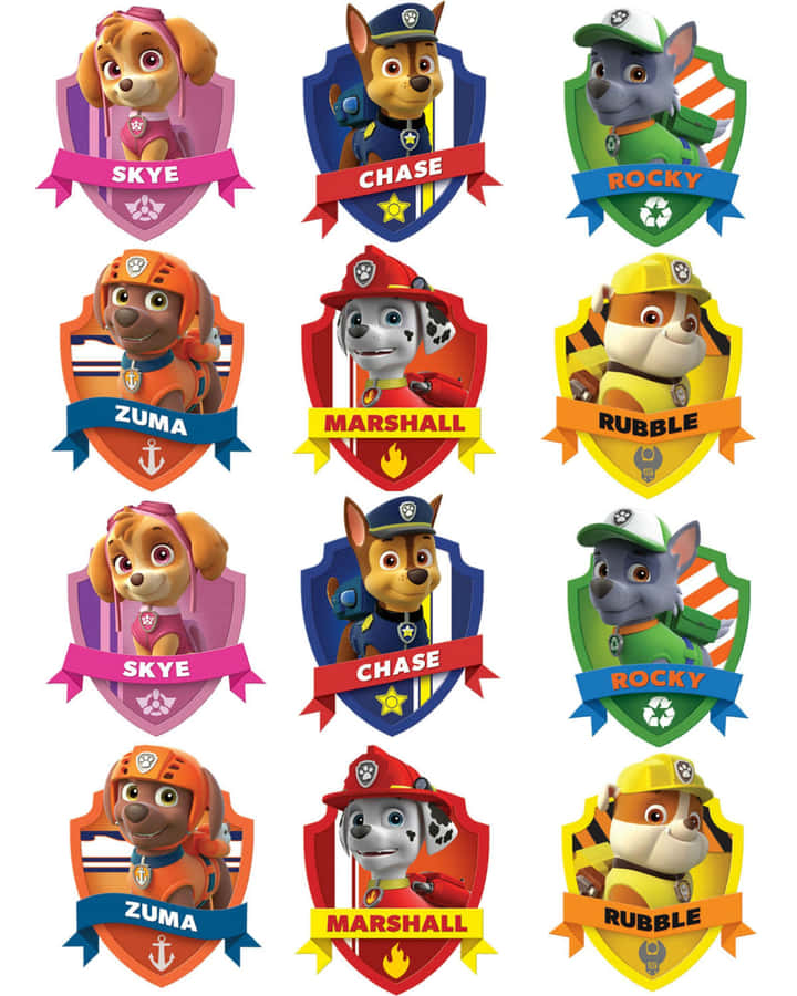 Skye Paw Patrol Badge Logo Collection Wallpaper
