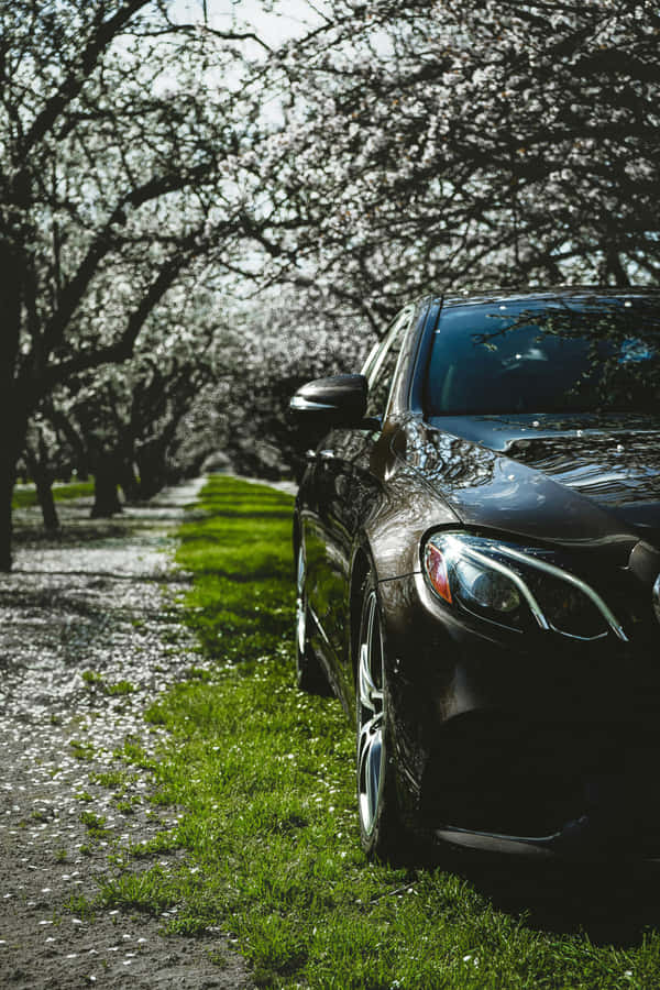 Sleek Black Car Blossoming Alley Wallpaper