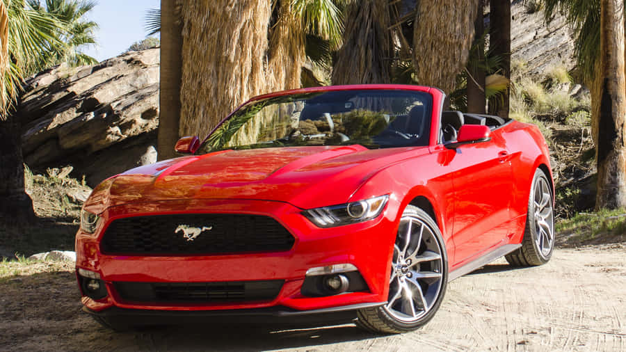 Sleek Ford Mustang Ecoboost In Action Wallpaper