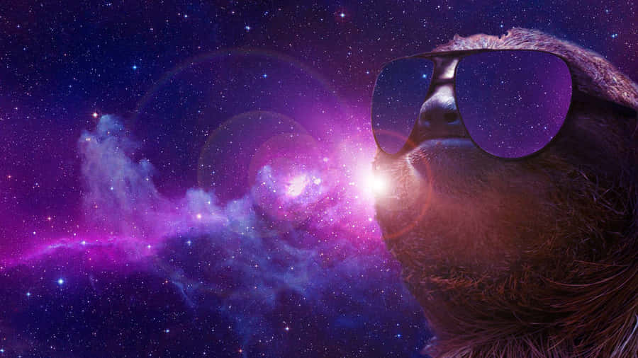 Sloth Space Odyssey Purple Sunglasses Wallpaper