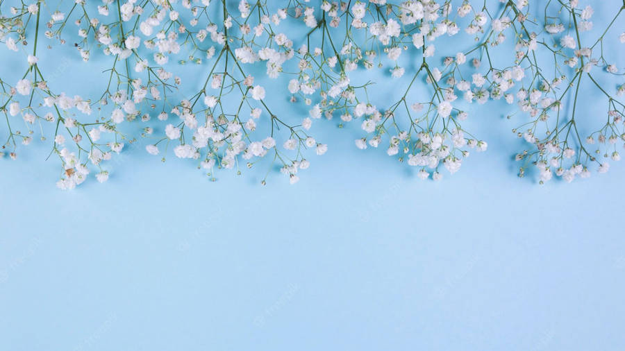 Small Flowers On Baby Blue Wallpaper