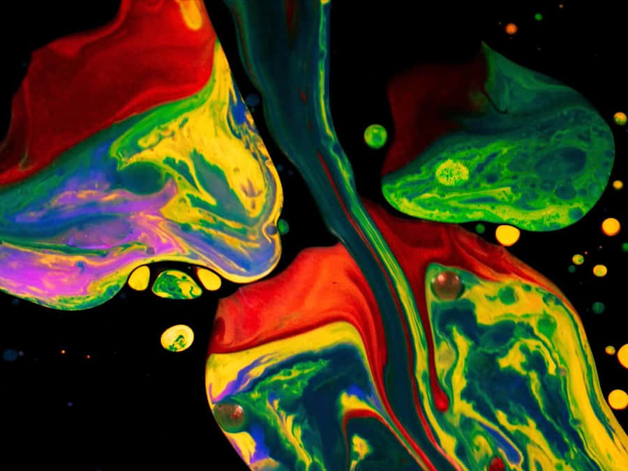 Smiling Male Headshot Wallpaper