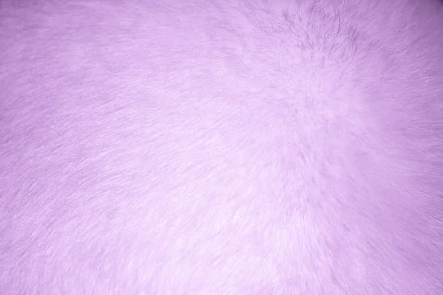 Smooth And Stylish, This Purple Faux Fur Makes A Luxurious Addition To Any Living Space. Wallpaper