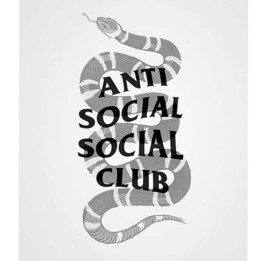 Snake On Anti Social Club Iphone Wallpaper