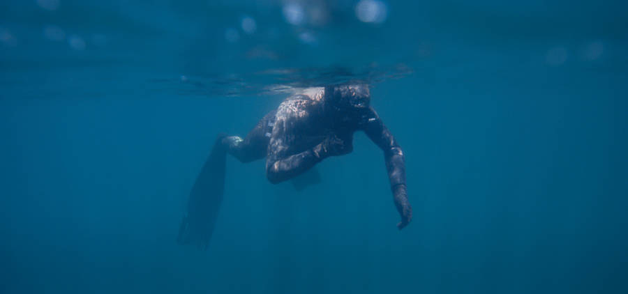 Snorkeling In The Deep Blue Ocean Wallpaper
