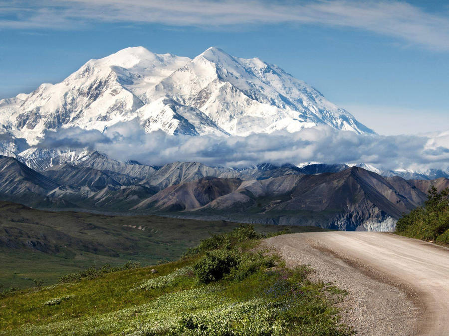 Snowy Denali With Dirt Path Wallpaper