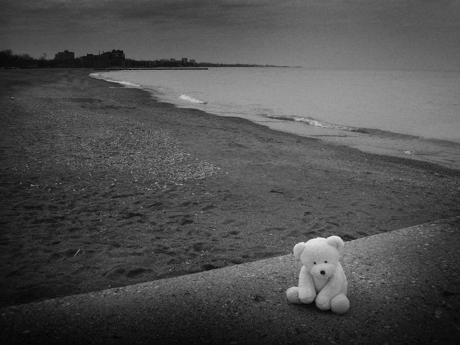 So Sad Teddy Bear Wallpaper