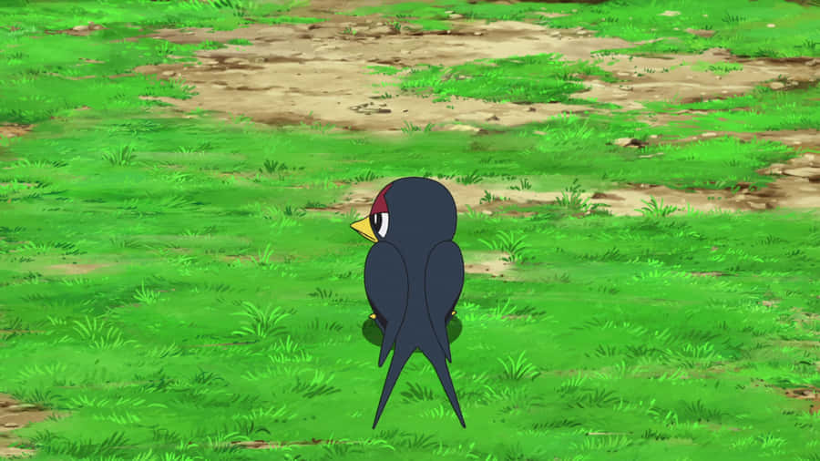 Soar To New Heights With This Colorful Taillow!