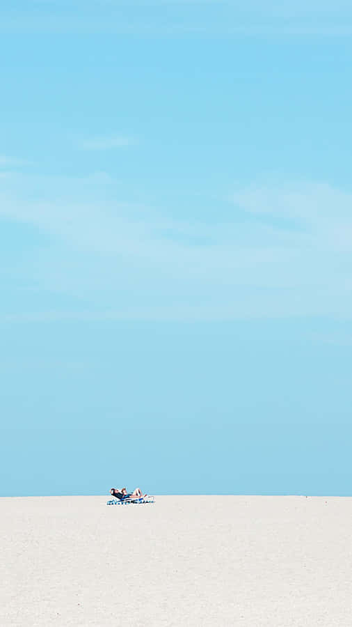 Soaring High In The Minimalist Sky Wallpaper