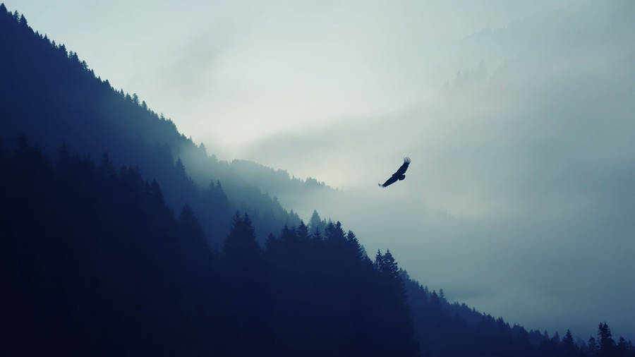 Soaring Proudly - Majestic Eagle Above The Majestic Alps Wallpaper