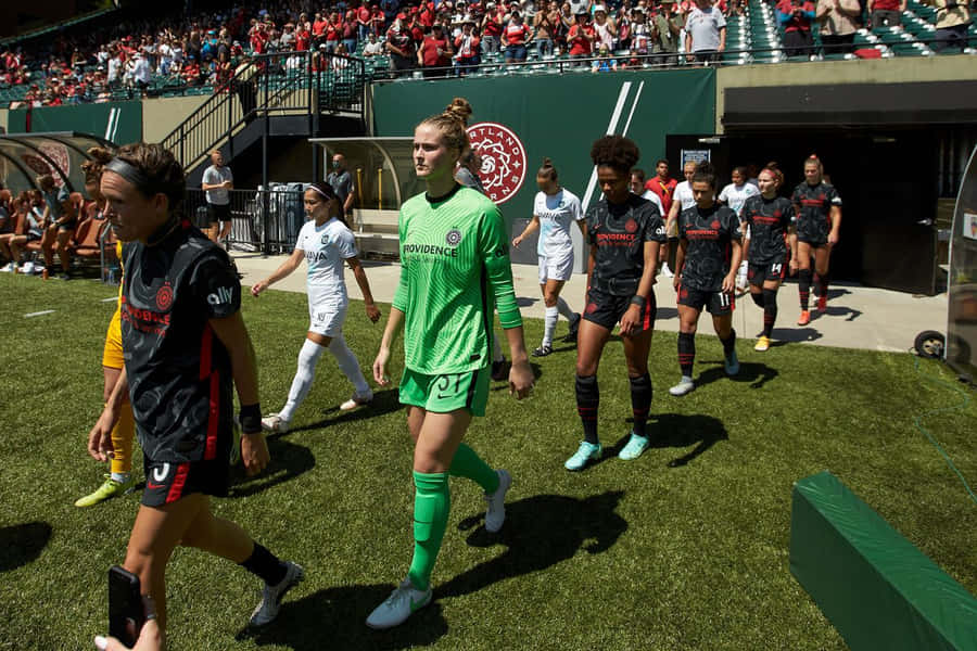 Soccer Team Walking Out For Match Wallpaper