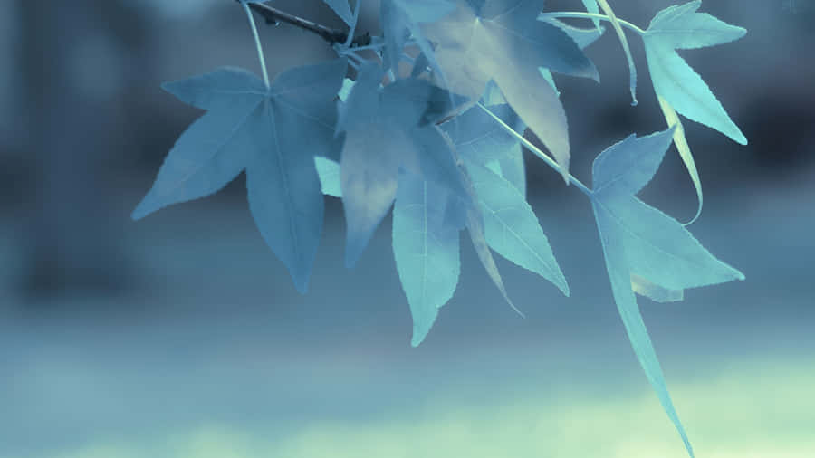 Soft Focus Leaves Depth Effect Wallpaper