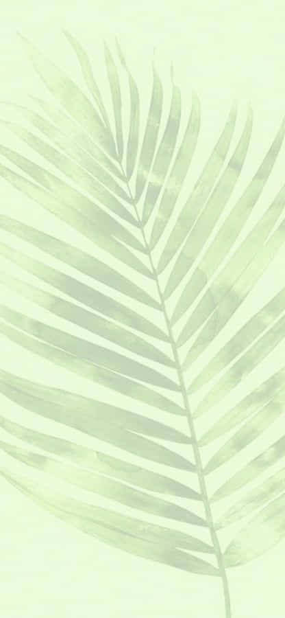 Soft Green Leaf Aesthetic Wallpaper Wallpaper