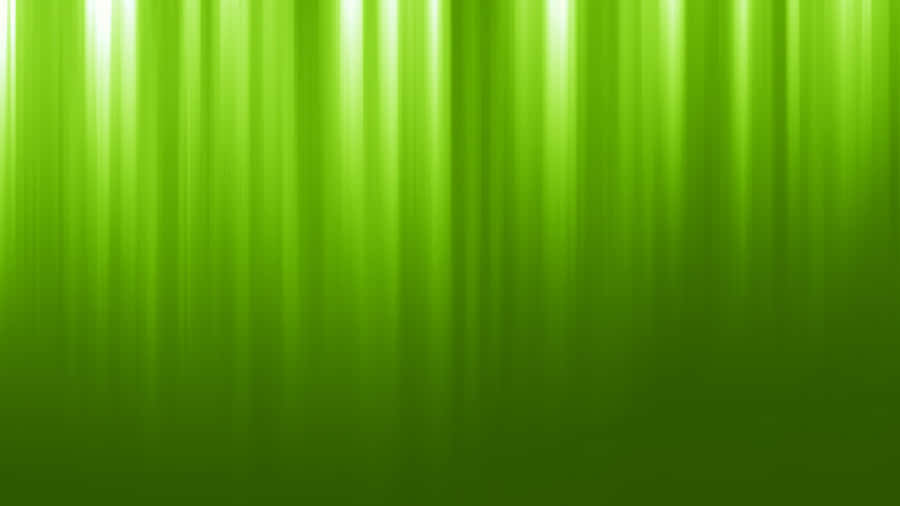 Soft Green Light Rays Background Wallpaper