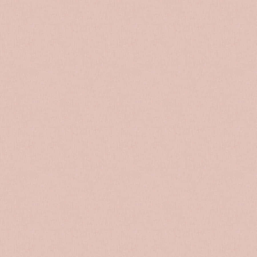 Soft Pink 1000 X 1000 Wallpaper