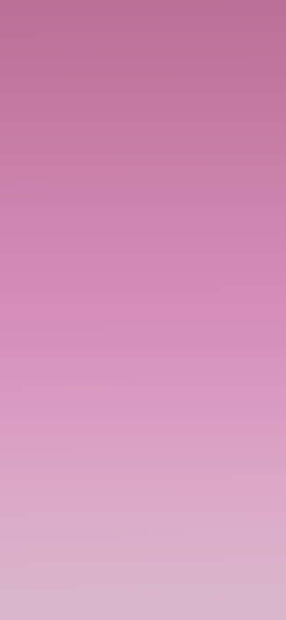 Soft Pink 1125 X 2436 Wallpaper