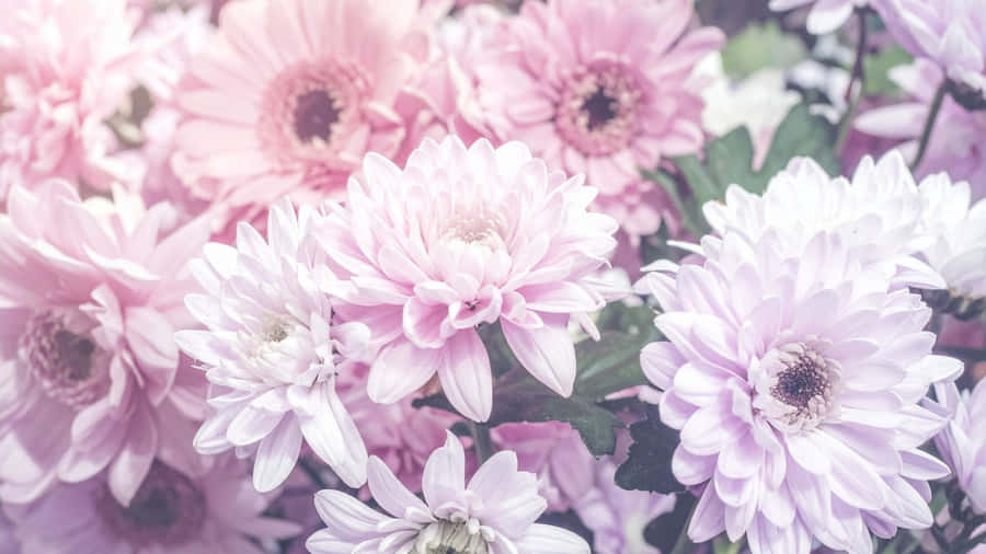 Soft Purple Floral Bouquet Wallpaper