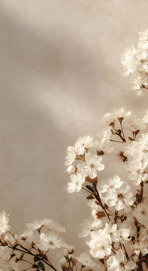 Soft Taupe Floral Background Wallpaper