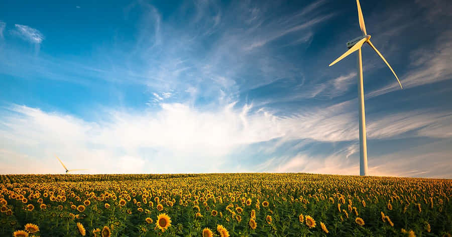 Solar Panels And Wind Turbines Working Together To Produce Renewable Energy In A Green Landscape Wallpaper