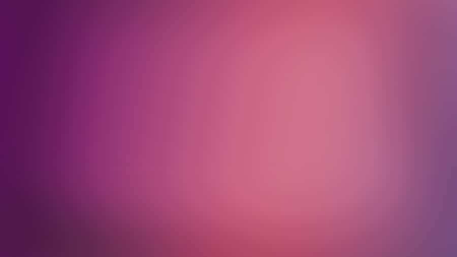 Solid Background Violet And Pink Gradient Wallpaper