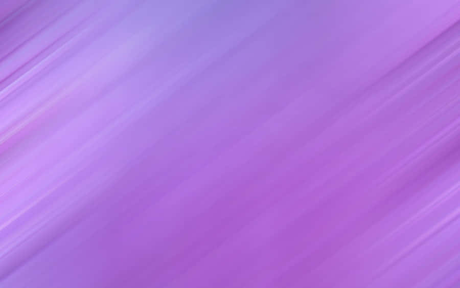 Solid Light Purple Minimalist Abstract Wallpaper