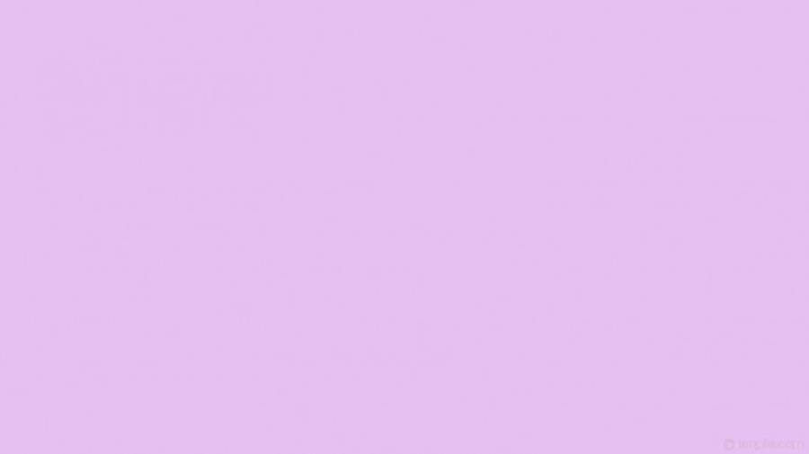 Solid Pastel Lavender Wallpaper