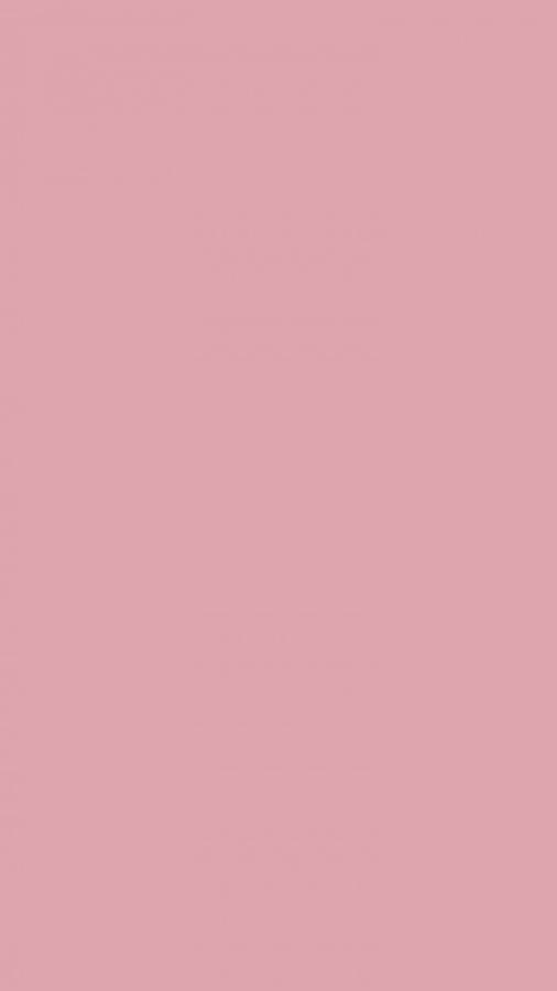 Solid Pastel Rose Pink Wallpaper