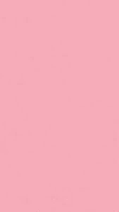 Solid Pink Background Wallpaper