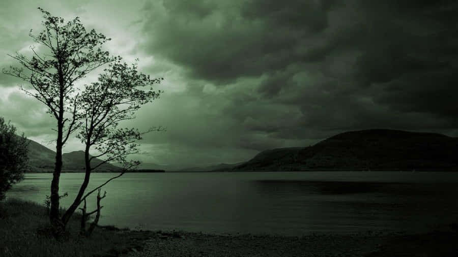 Somber Scene Beside The Lake Wallpaper