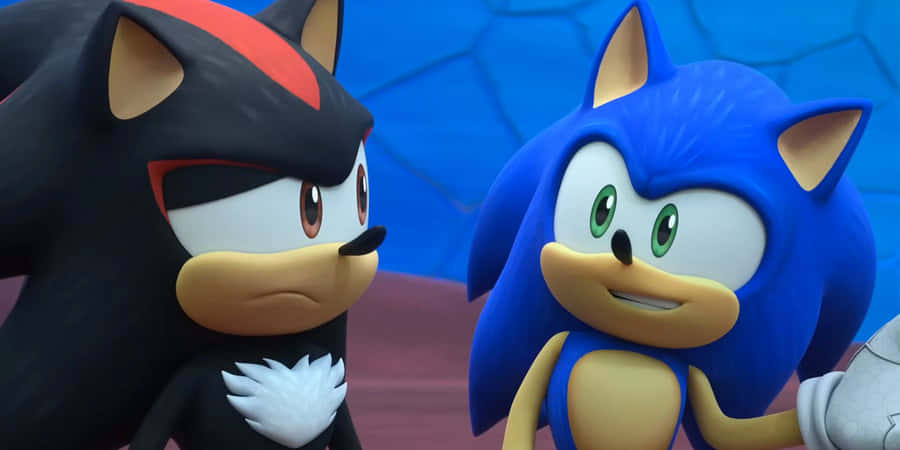 Sonic_and_ Shadow_ Sonic_ Prime Wallpaper