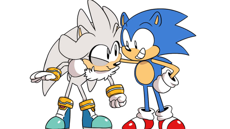 Sonic And Silver Teaming Up In Action-packed Gameplay Wallpaper