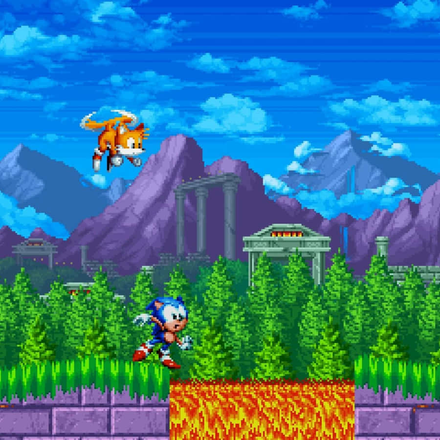 Sonic_and_ Tails_ Marble_ Zone_ Adventure Wallpaper