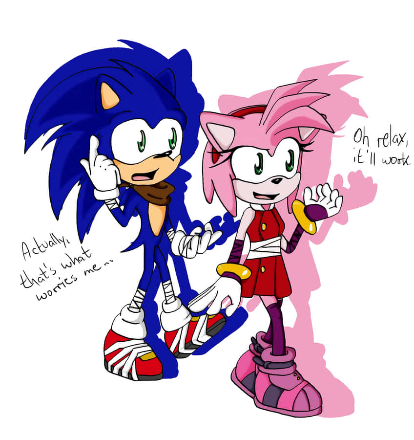 Sonic The Hedgehog And Amy Rose Together In A Heartwarming Scene Wallpaper