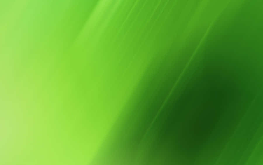 Soothing Green Gradient Wallpaper Wallpaper