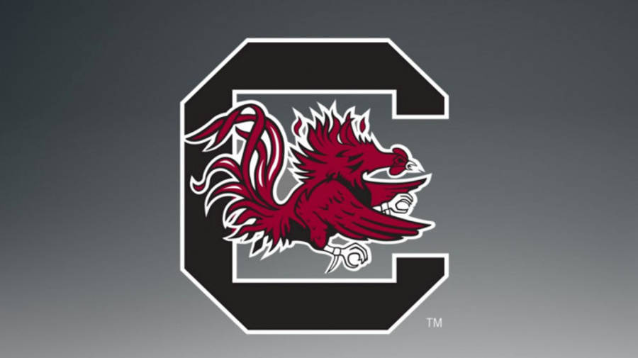 South Carolina Gamecocks C Logo Design Wallpaper