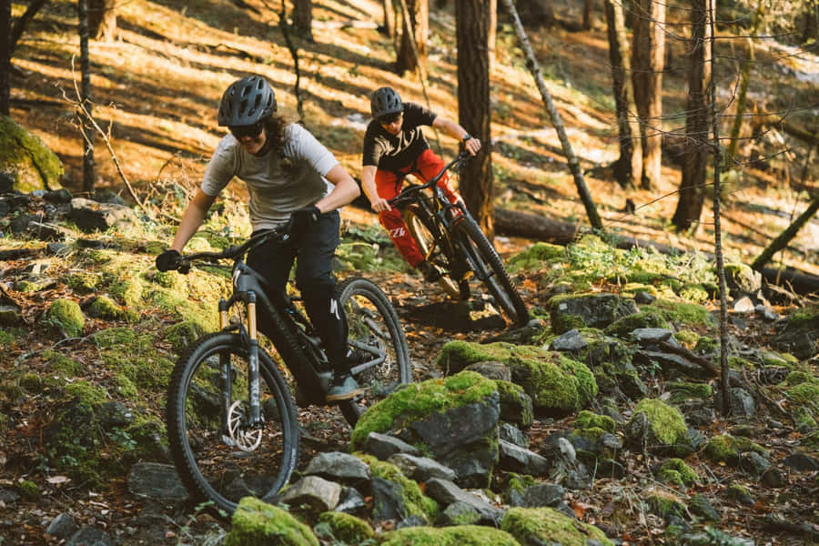 Specialized Mountain Bike - Championing The Outdoors Wallpaper