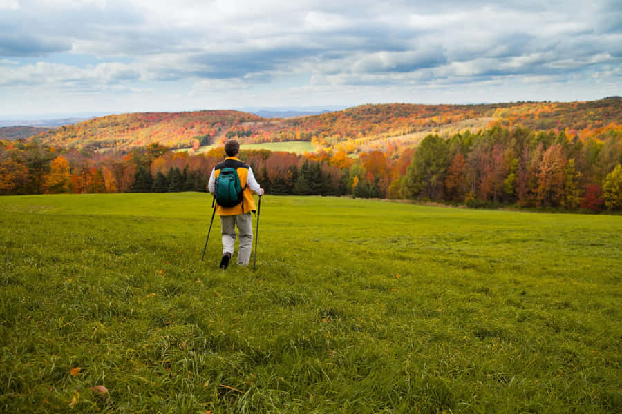 Spectacular Fall Foliage On A Serene Hiking Trail Wallpaper