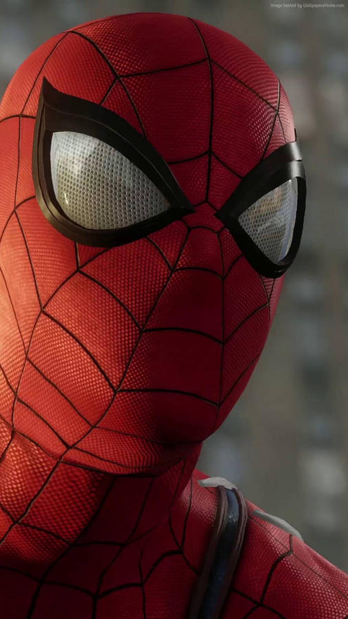 Spider-man Hd Wallpapers Hd Wallpapers Wallpaper