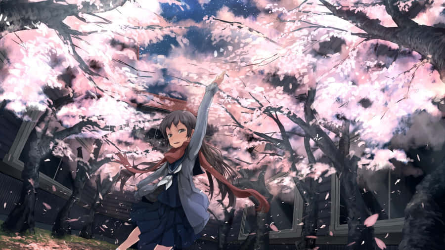 Spring Anime Cherry Blossom Scene Wallpaper