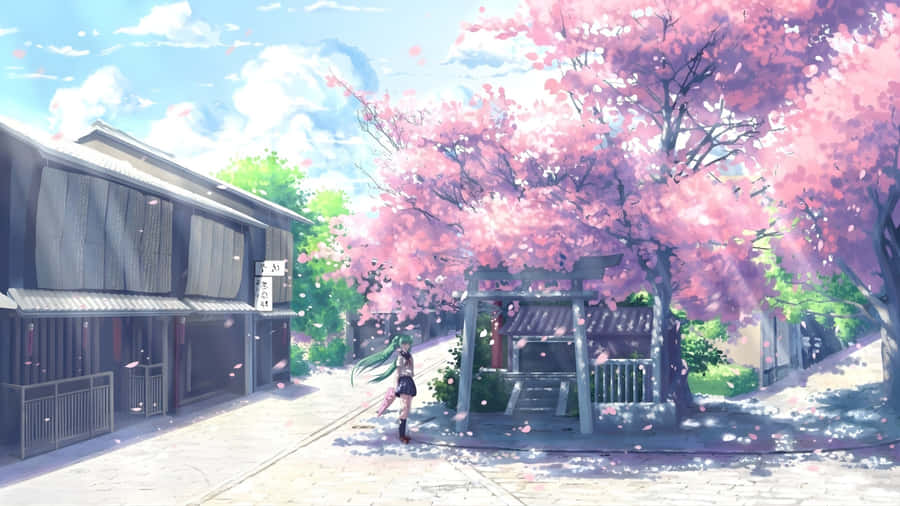 Spring Anime Cherry Blossom Scene Wallpaper