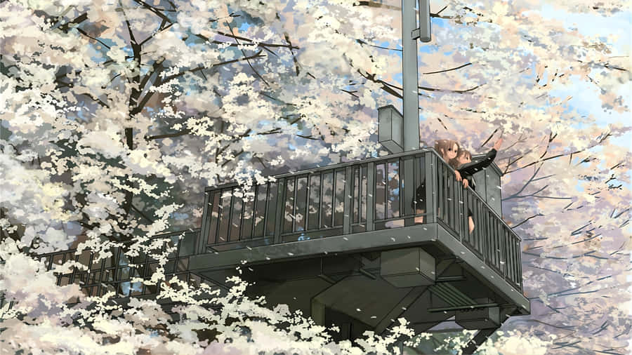 Spring Anime Cherry Blossom Scene Wallpaper